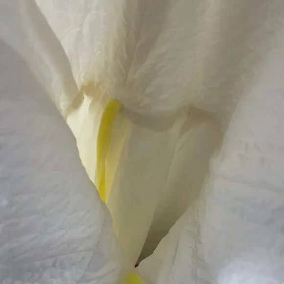 Piazza Sempione Italy Seersucker lined strapless cocktail dress - Picture 10 of 12